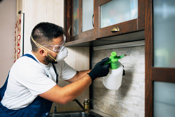 Best Pest Control Treatment  in Attica, MI