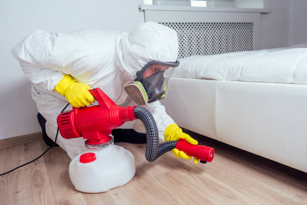 Best Local Pest Control Services  in Attica, MI