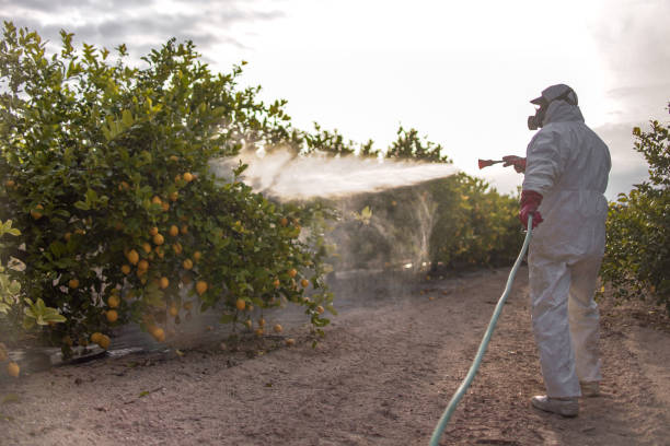 Best Commercial Pest Control Services  in Attica, MI