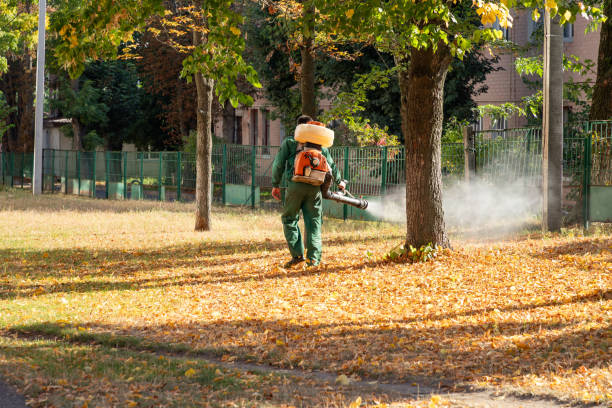 Best Wasp Removal Services  in Attica, MI