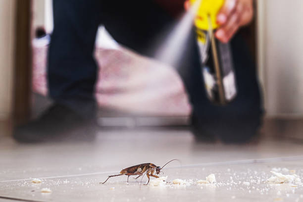 Best Best Pest Control Companies  in Attica, MI