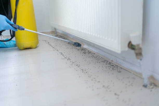  Attica, MI Pest Control Pros